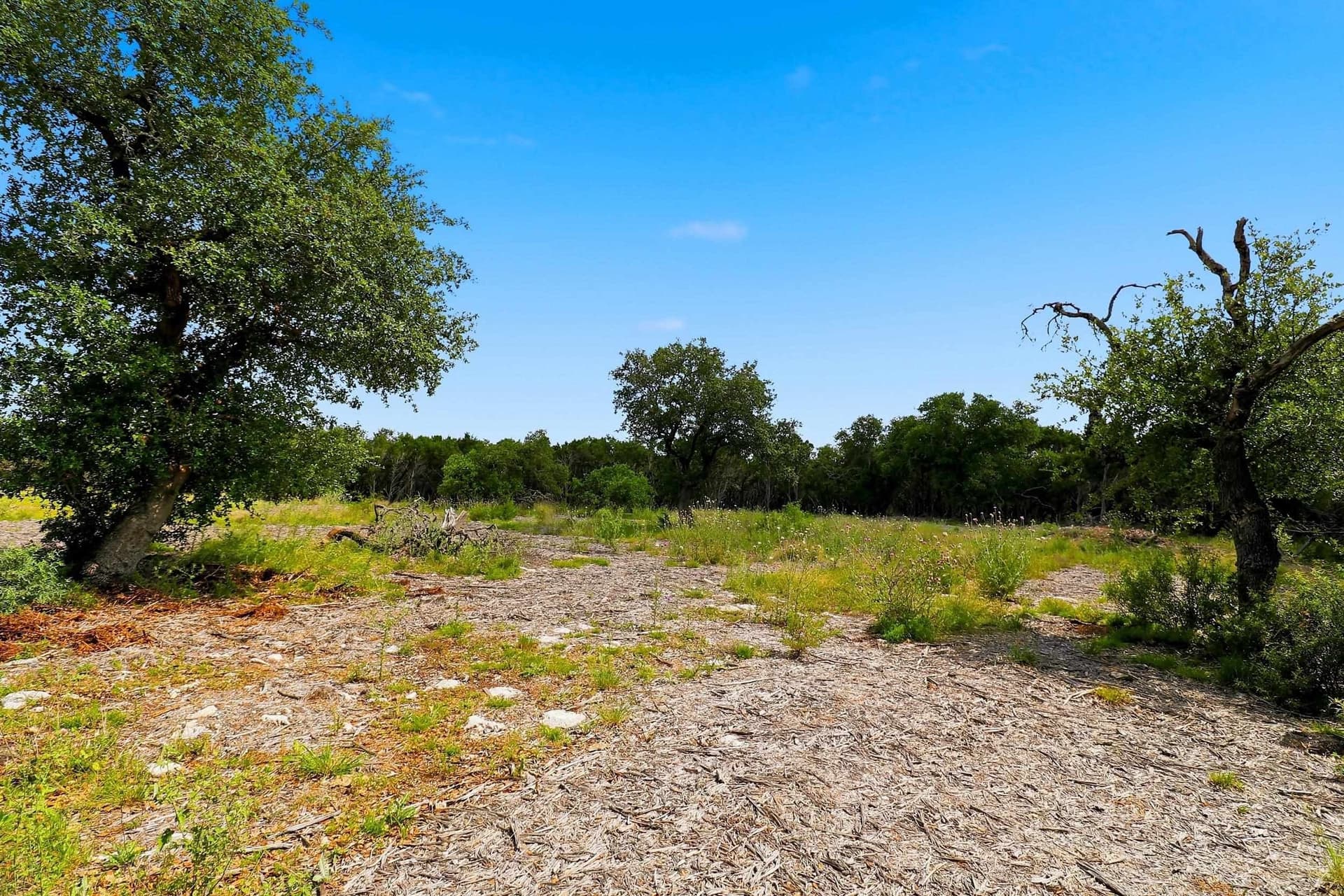 14.85 acres in Burnet County - photo 9