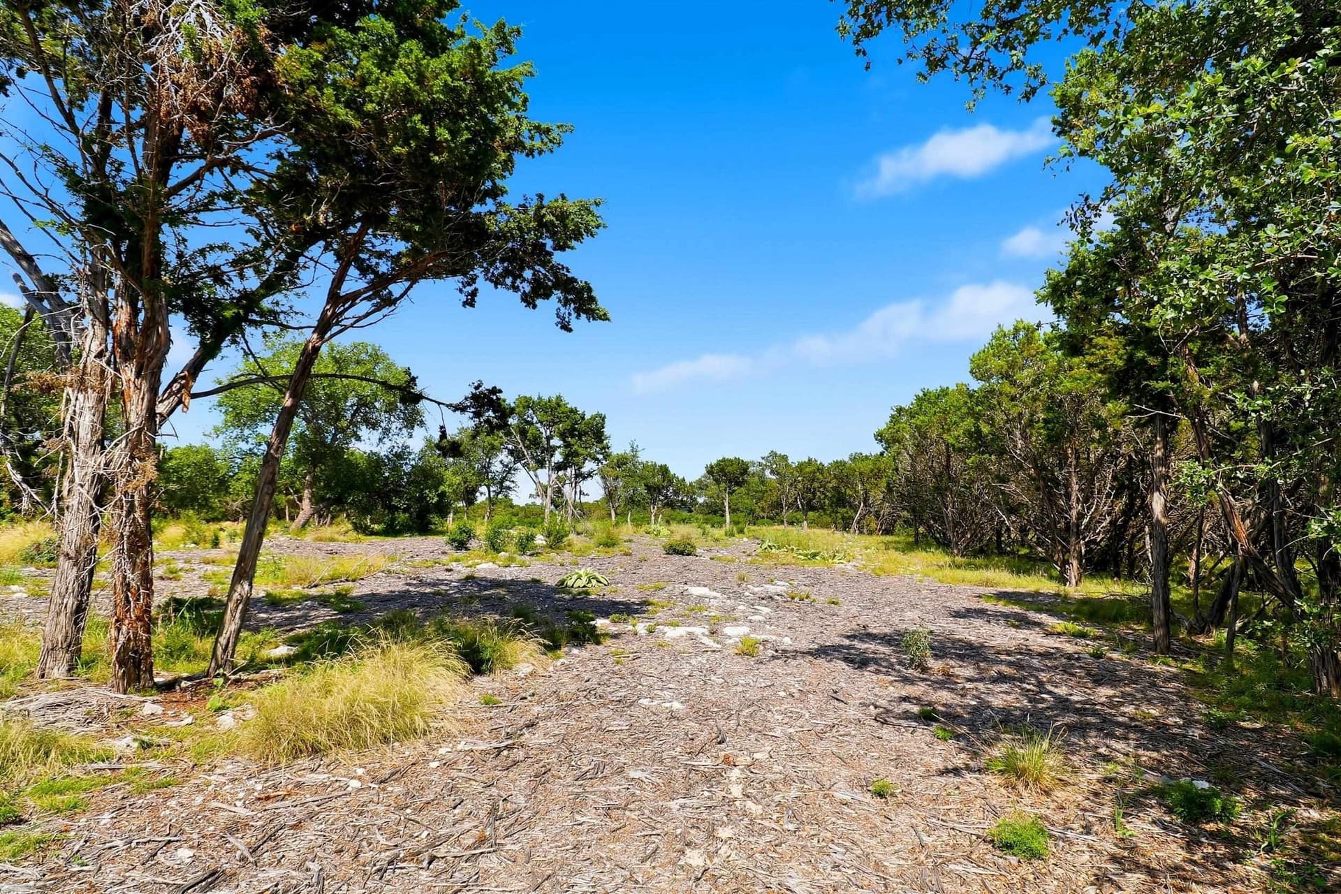14.85 acres in Burnet County - photo 8