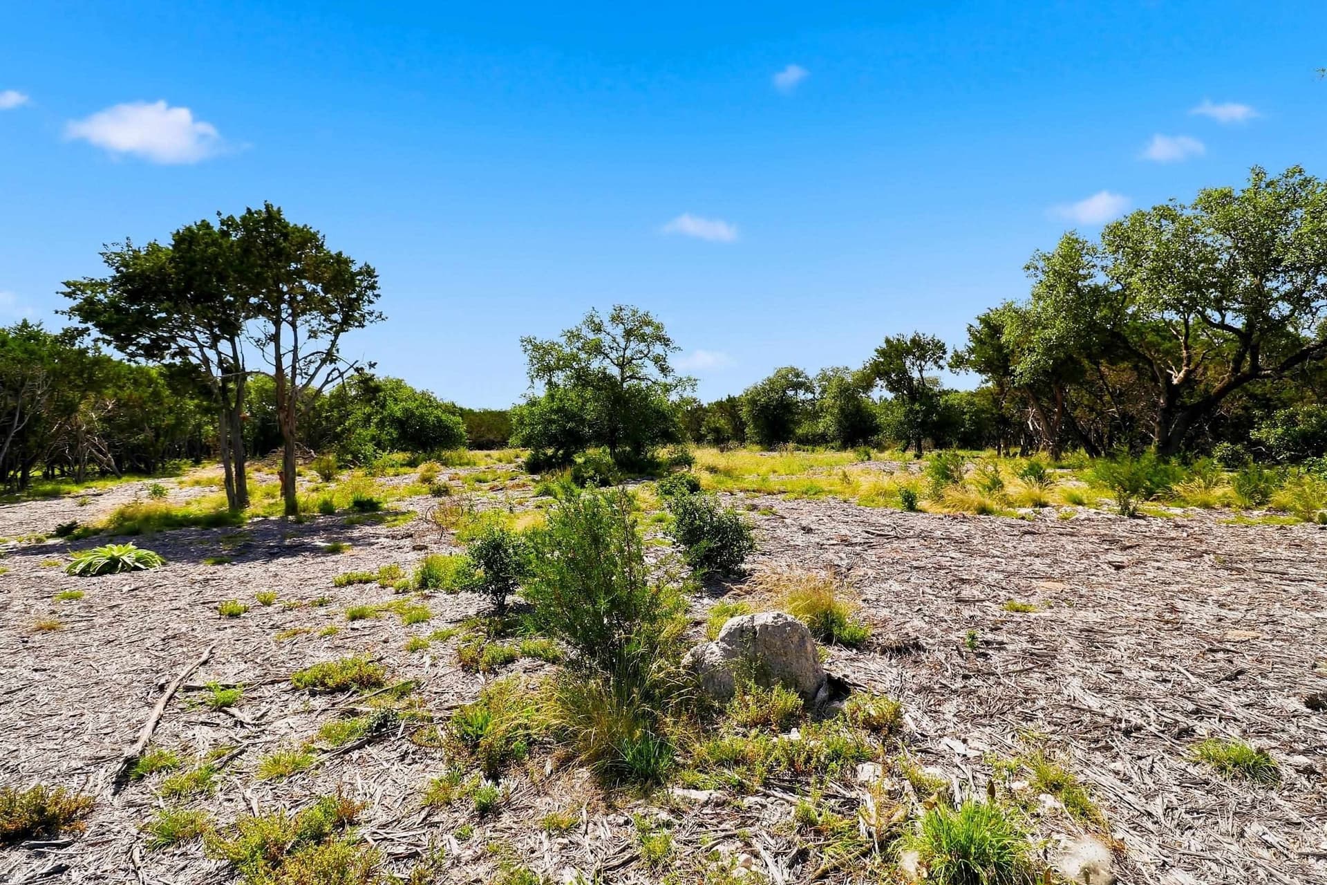 14.85 acres in Burnet County - photo 22