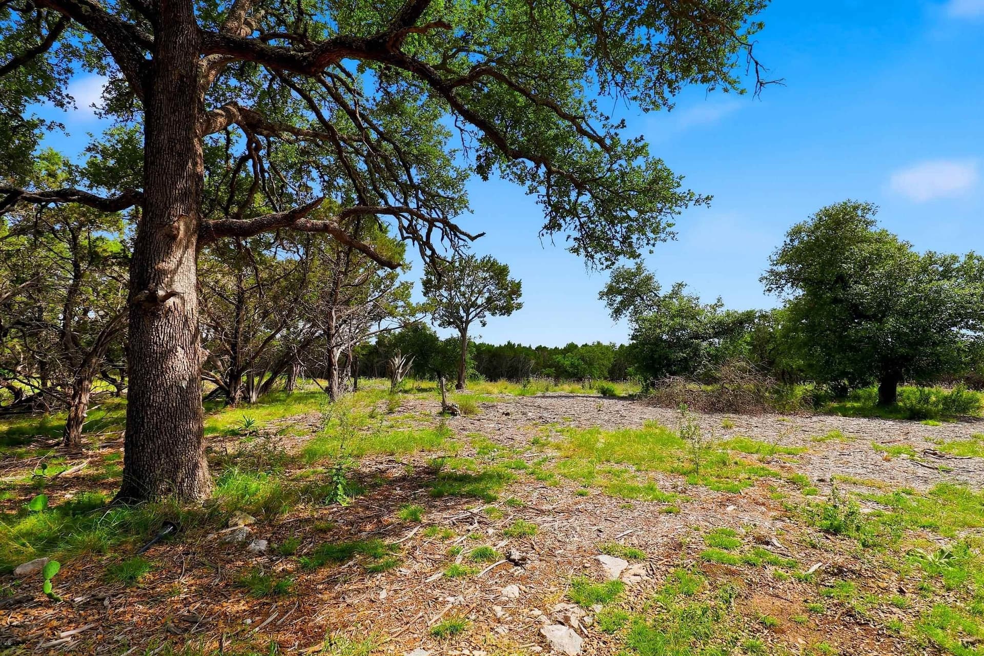 14.85 acres in Burnet County - photo 7