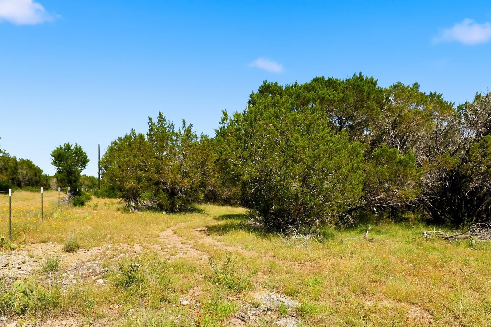 14.85 acres in Burnet County - photo 16