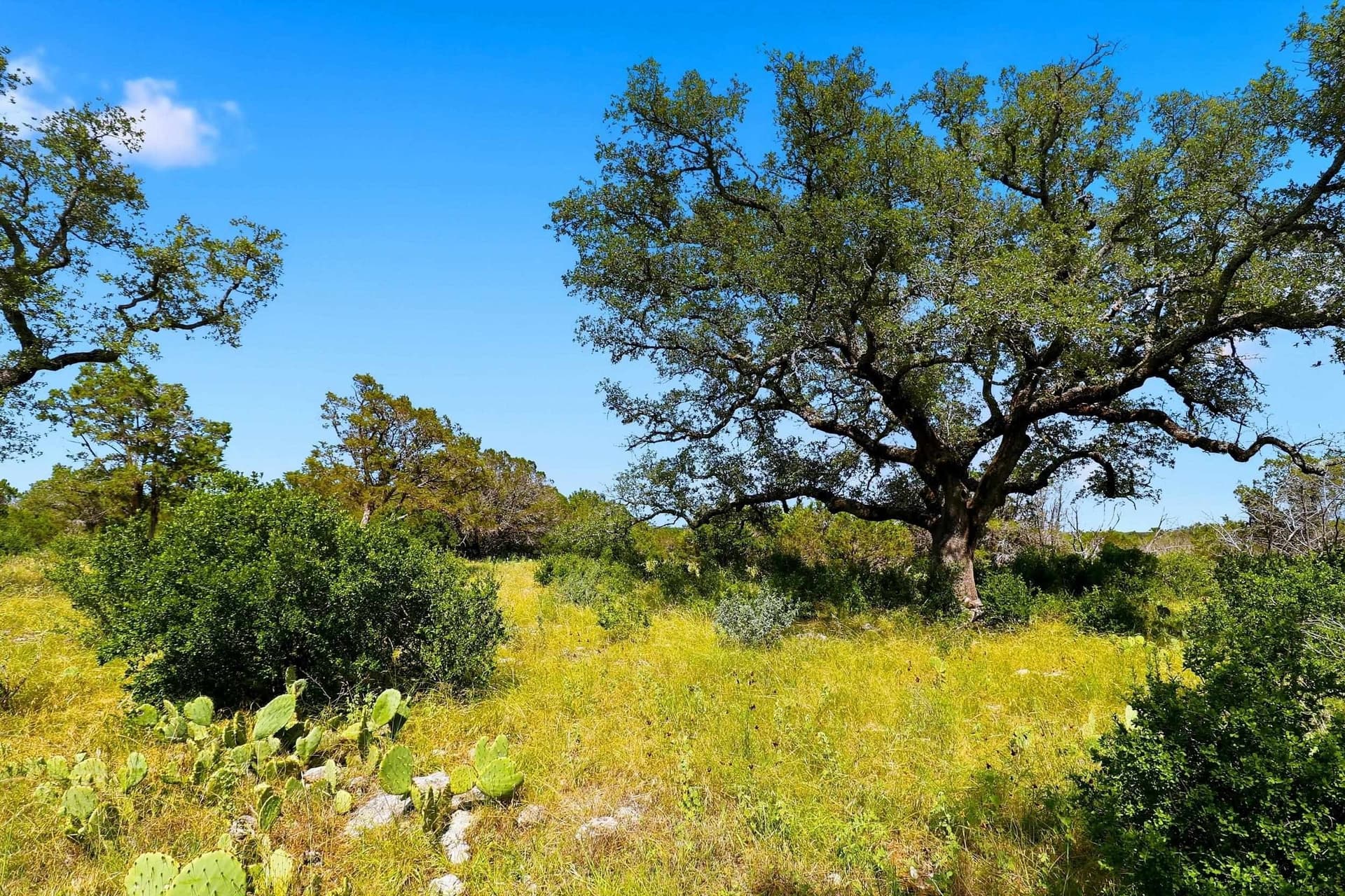 14.85 acres in Burnet County - photo 12