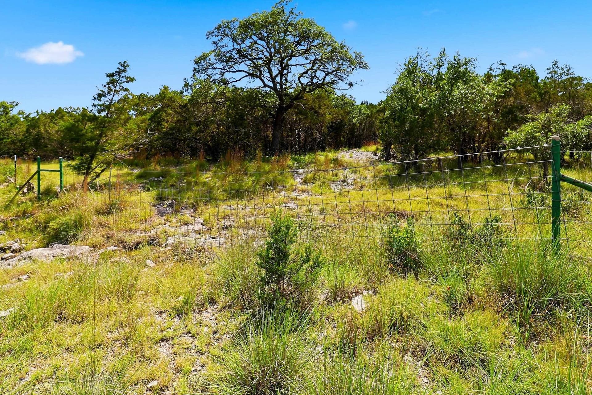 14.85 acres in Burnet County - photo 20