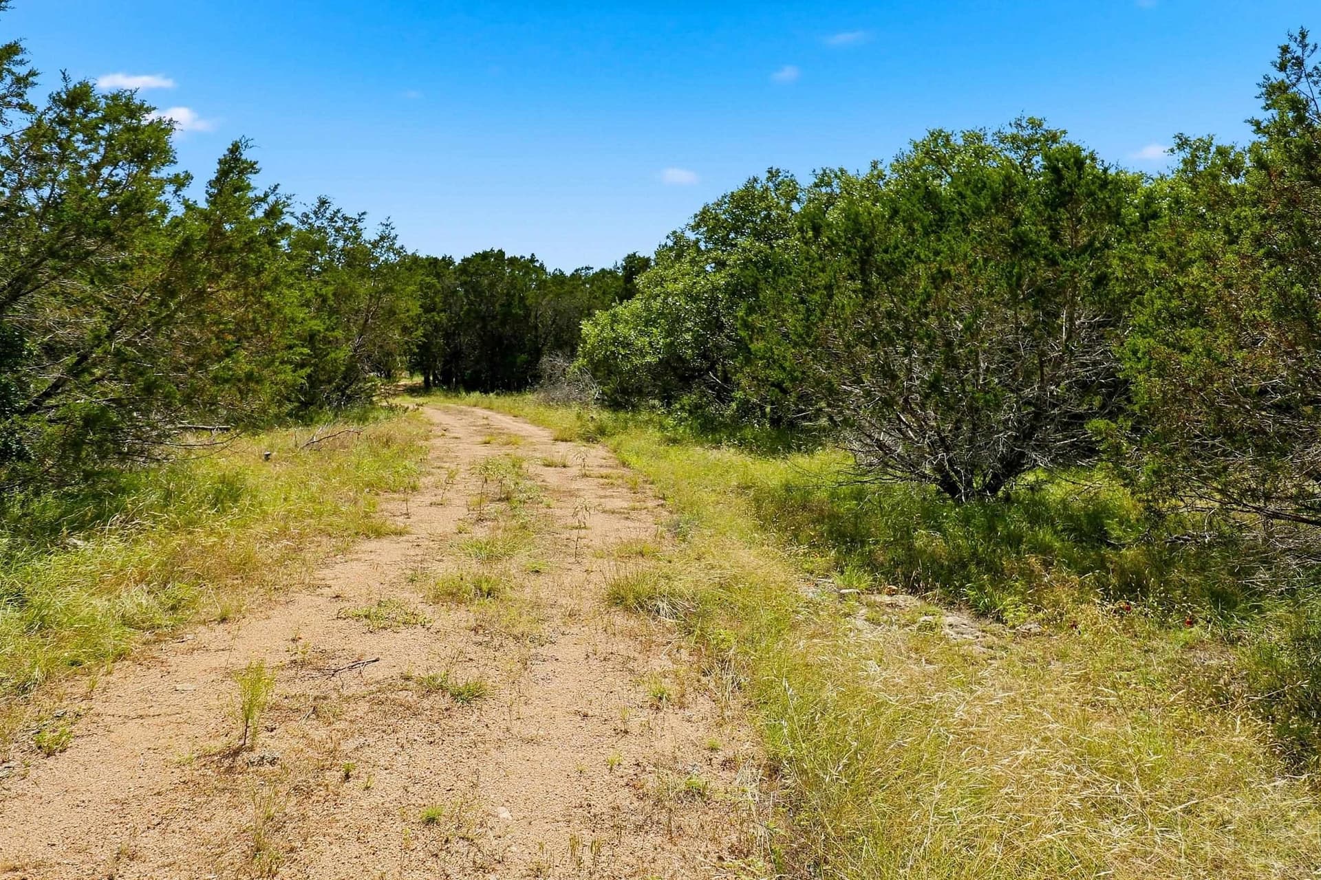 14.85 acres in Burnet County - photo 6