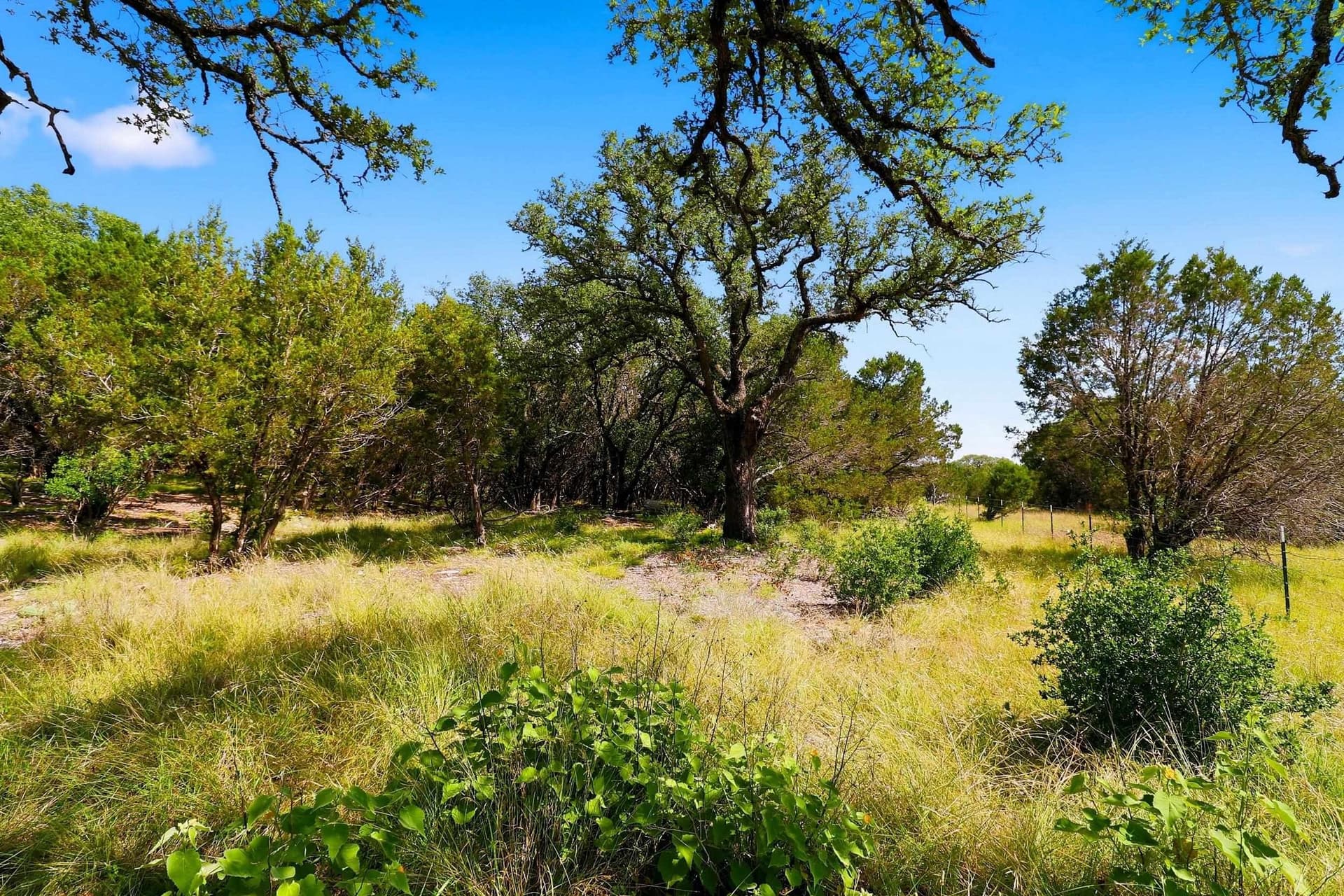 14.85 acres in Burnet County - photo 18