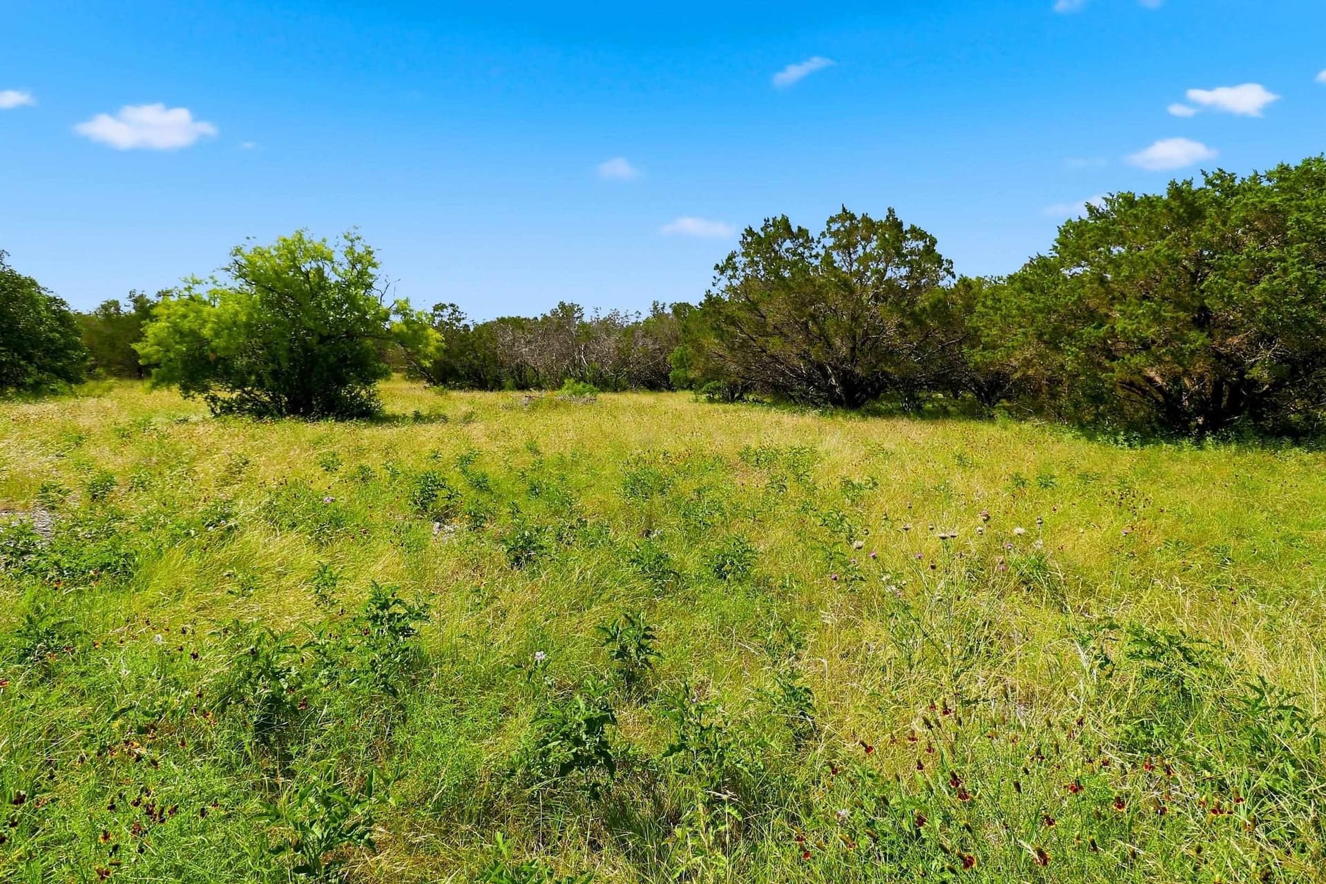 14.85 acres in Burnet County - photo 13