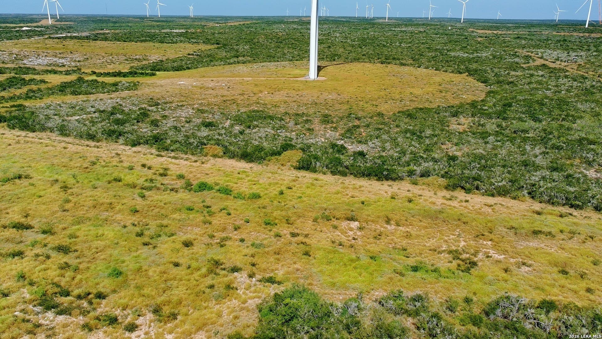 56 acres in Webb County gallery image 3