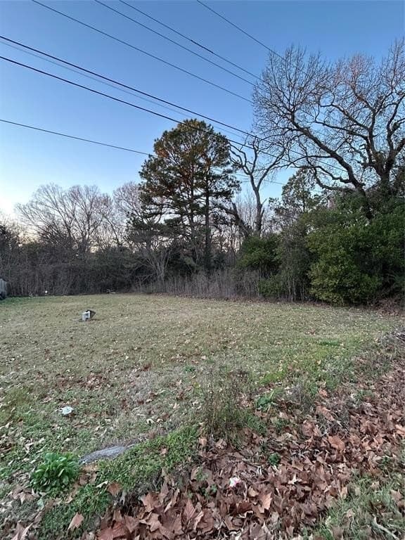 2.79 acres in Henderson County gallery image 3