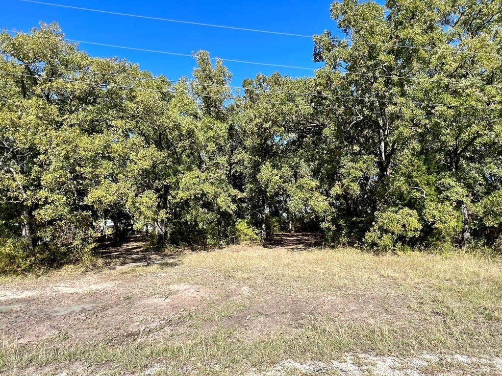 0.35 acres in Henderson County gallery image 3