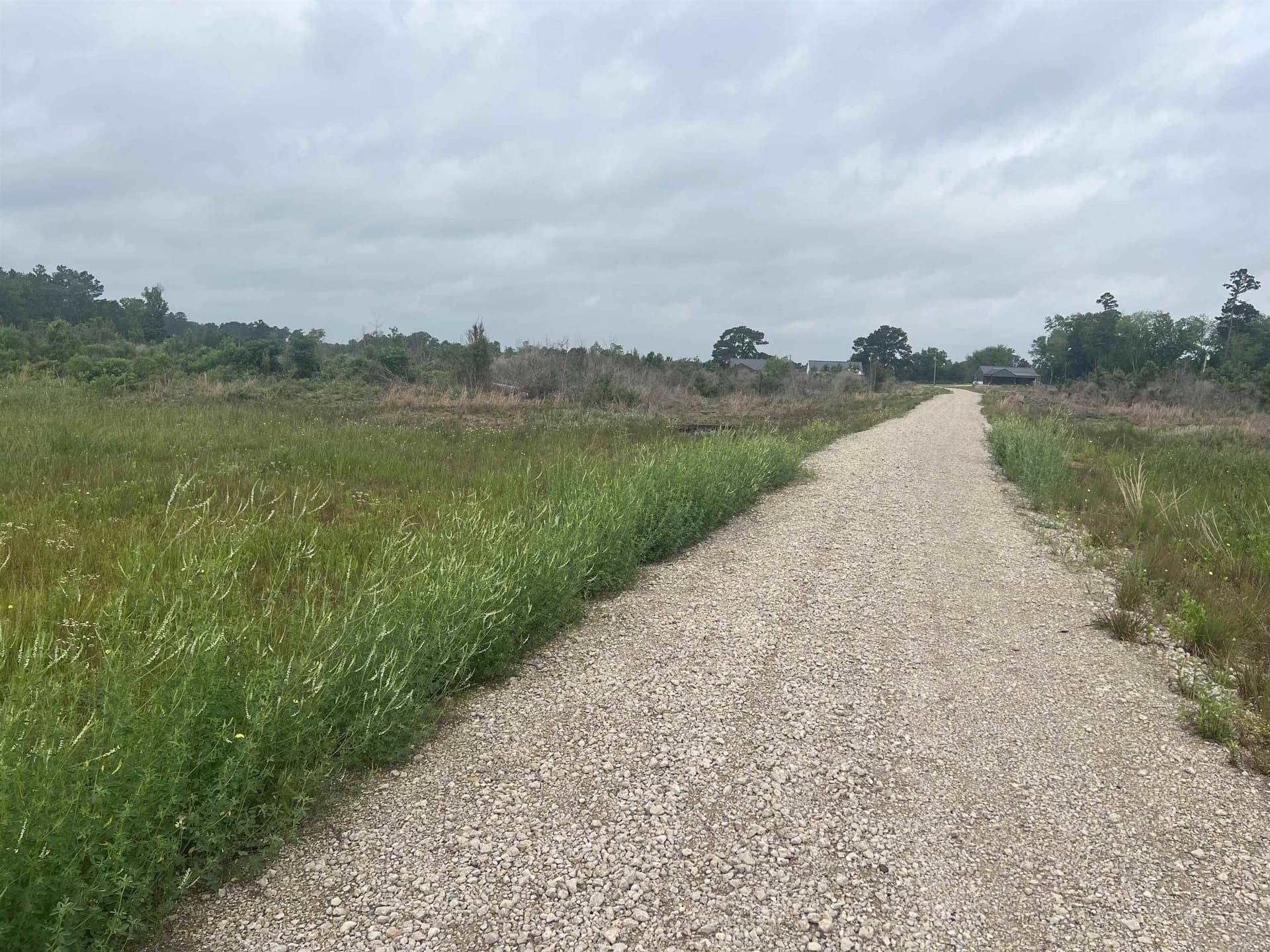 61.31 acres in Panola County