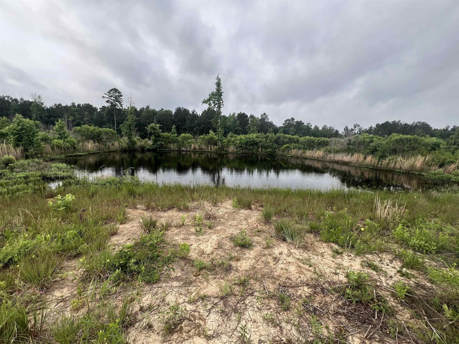 61.31 acres in Panola County - photo 9