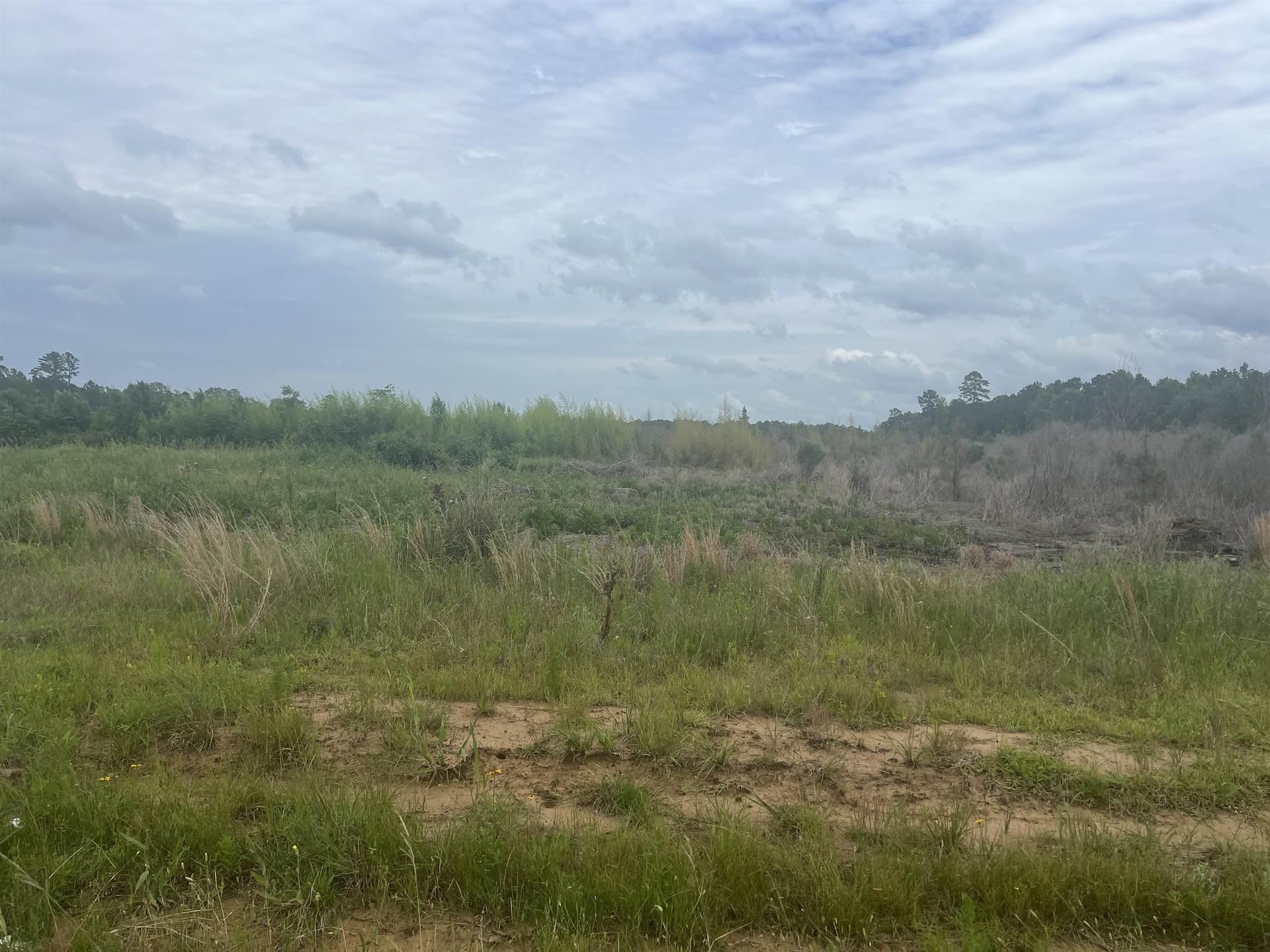 61.31 acres in Panola County featured view