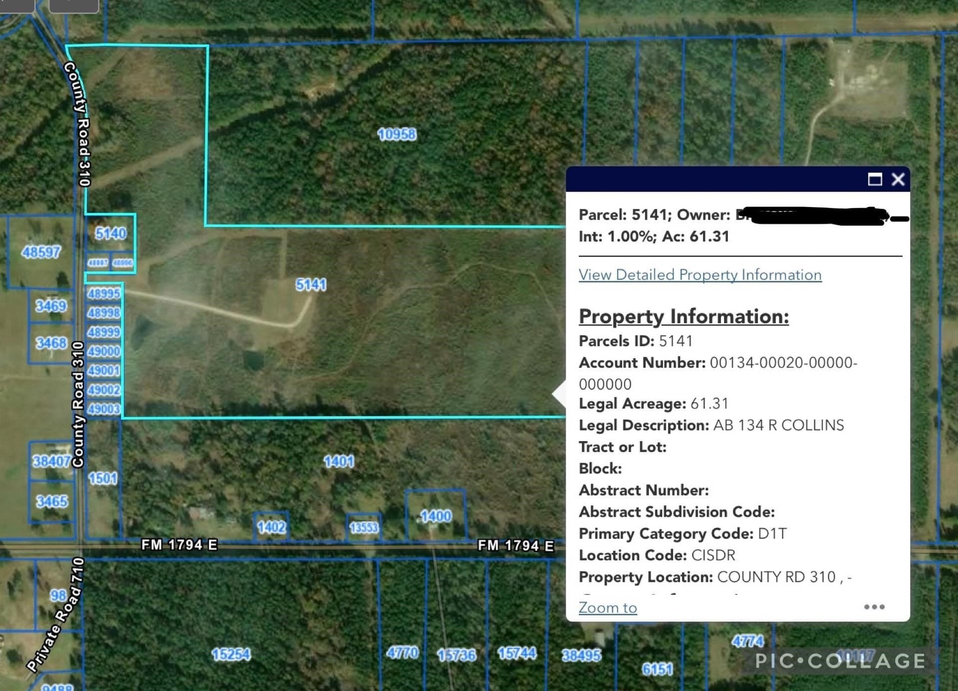 61.31 acres in Panola County - photo 8