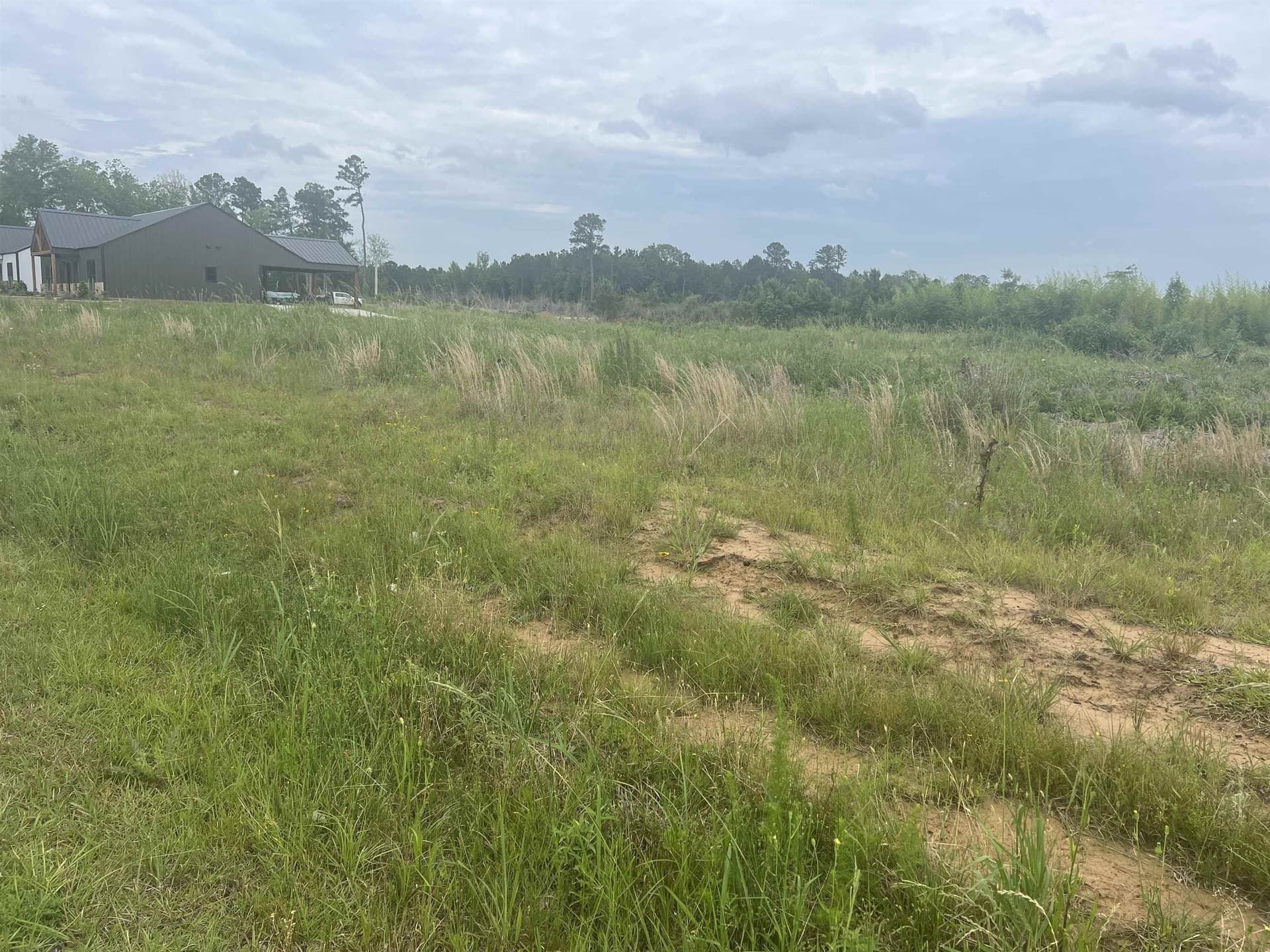 61.31 acres in Panola County - photo 6