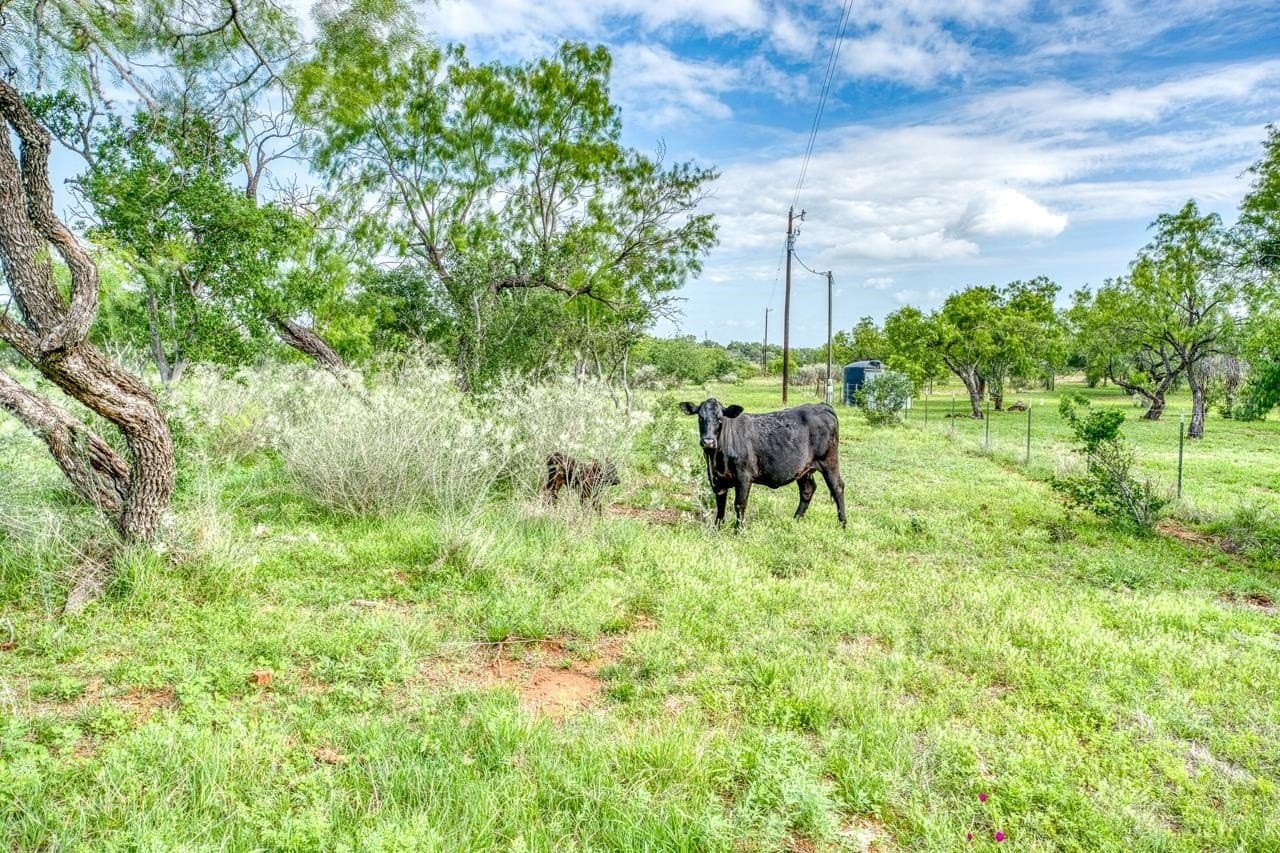 66.06 acres in Llano County - photo 35