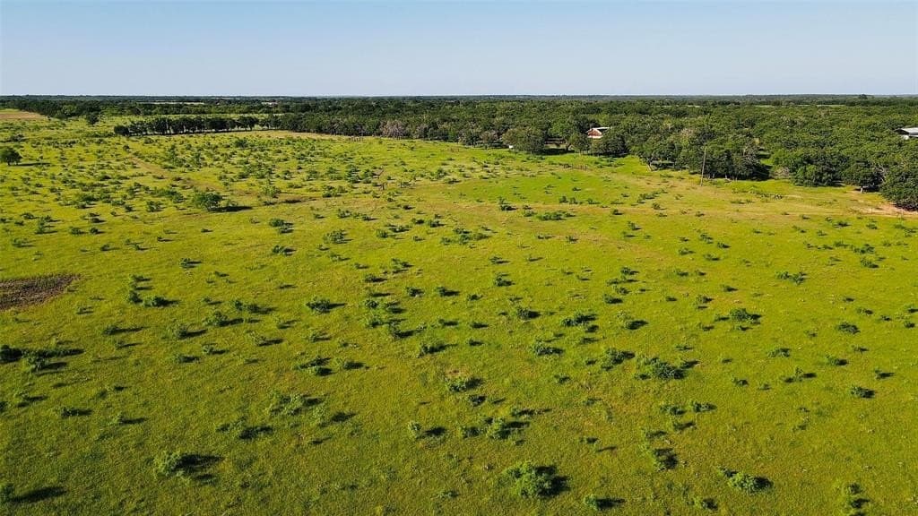 80 acres in Eastland County gallery image 4