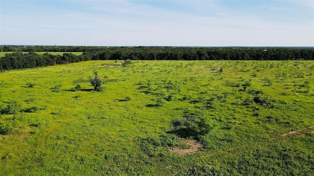 80 acres in Eastland County gallery image 3