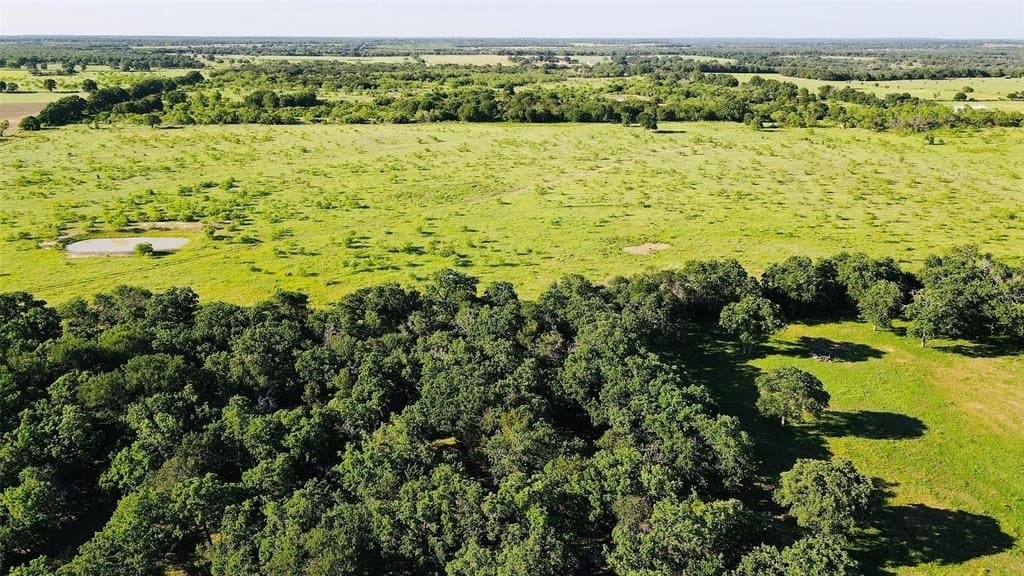 80 acres in Eastland County featured view