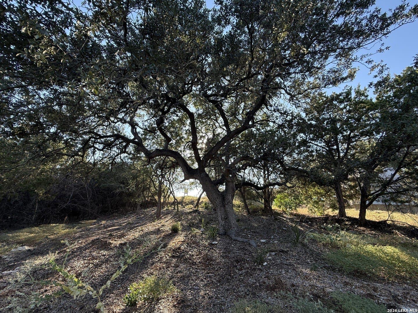 0.52 acres in Bexar County gallery image 2