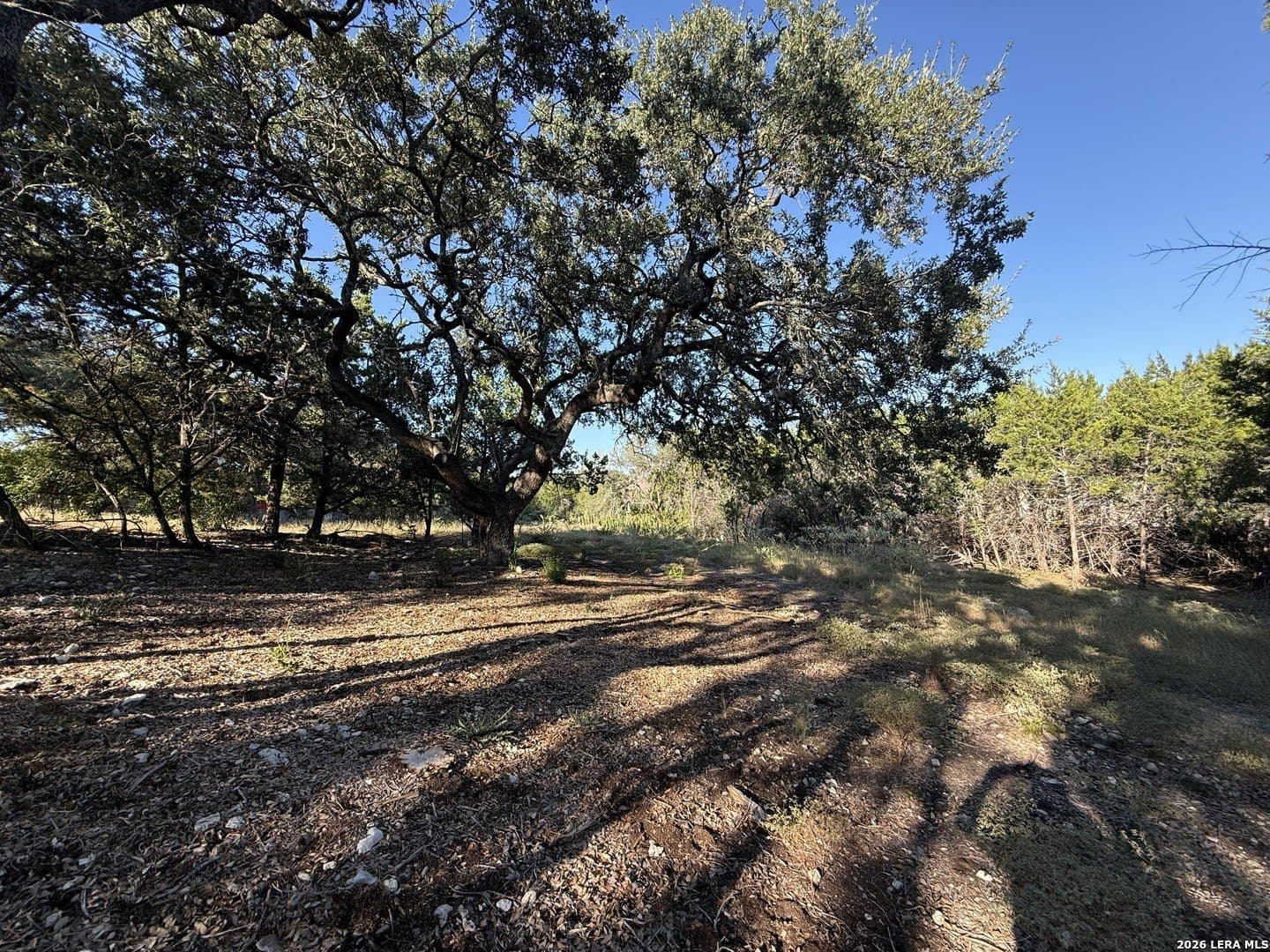 0.52 acres in Bexar County featured view