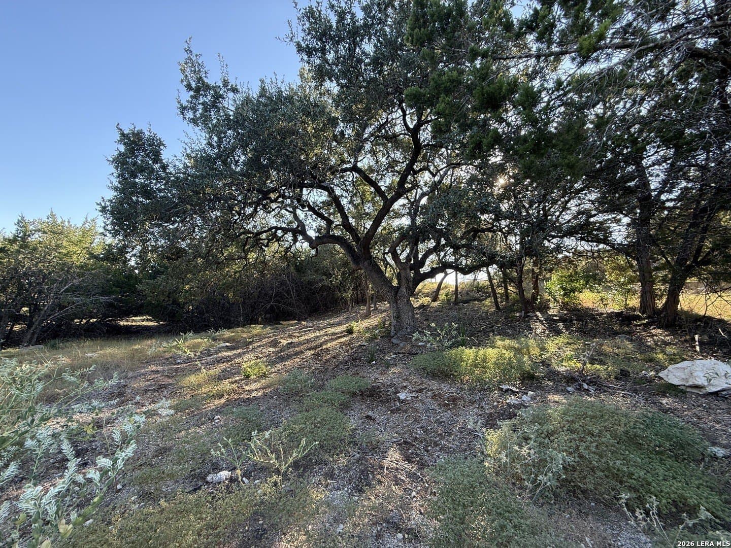 0.52 acres in Bexar County gallery image 3