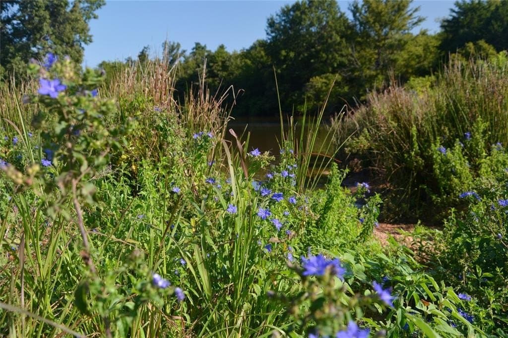 40.5 acres in Van Zandt County