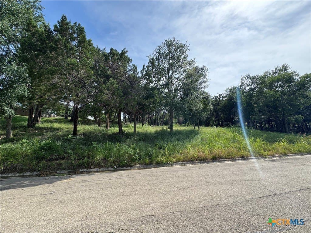 0.33 acres in Bell County gallery image 2
