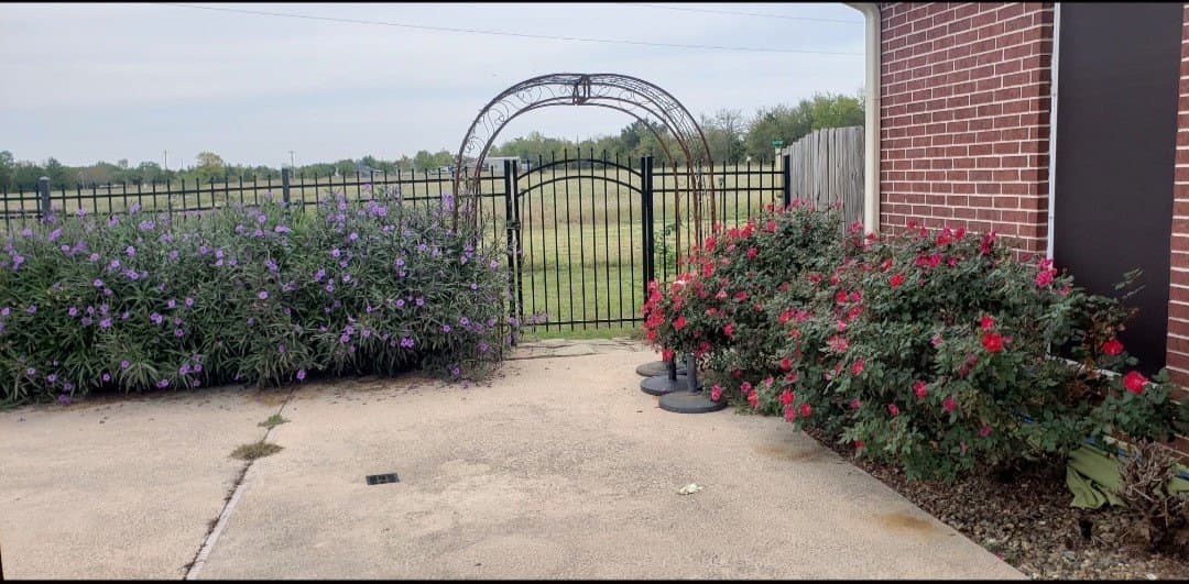 10.55 acres in Hopkins County - photo 8