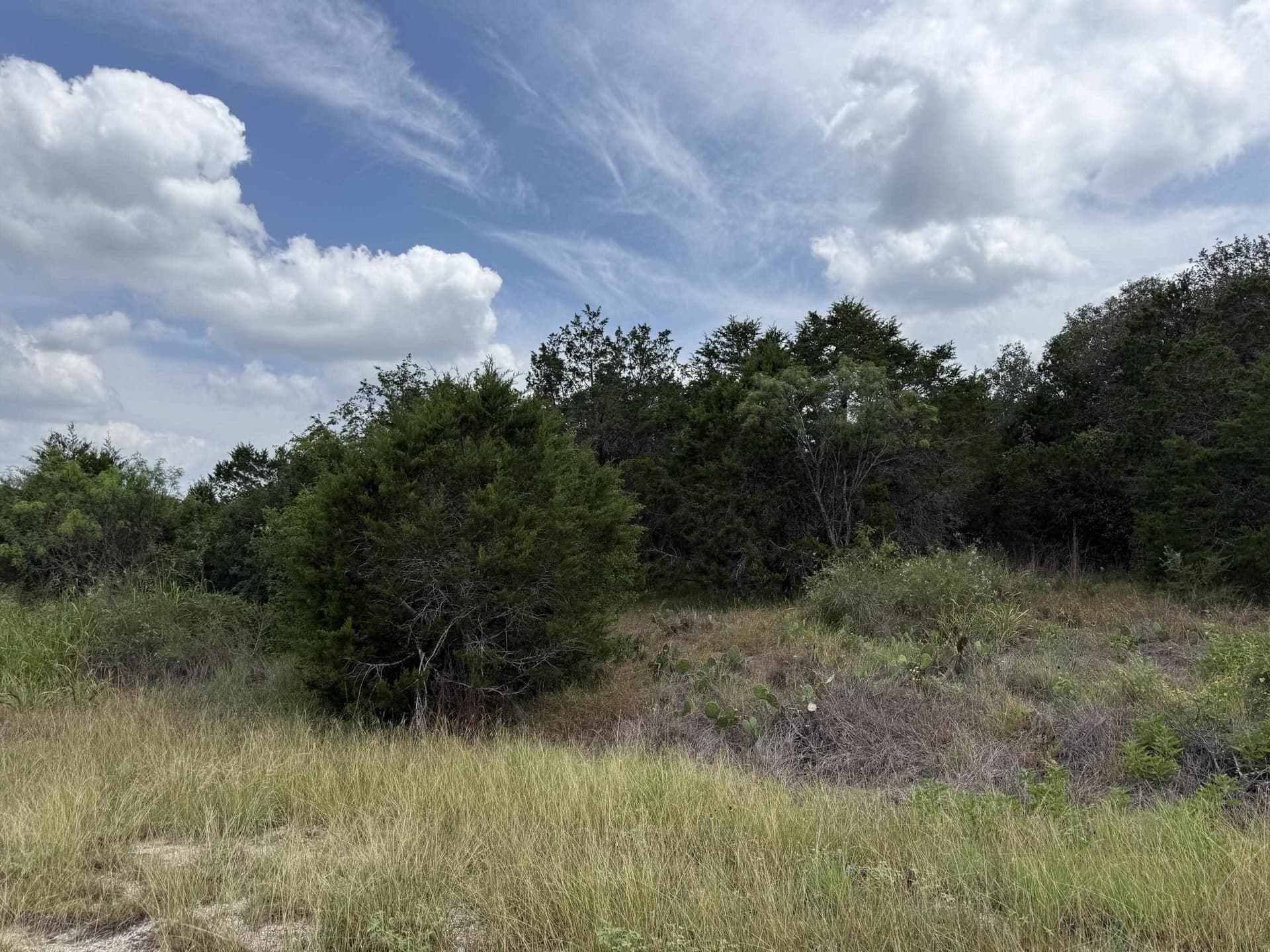 0.19 acres in Burnet County gallery image 3