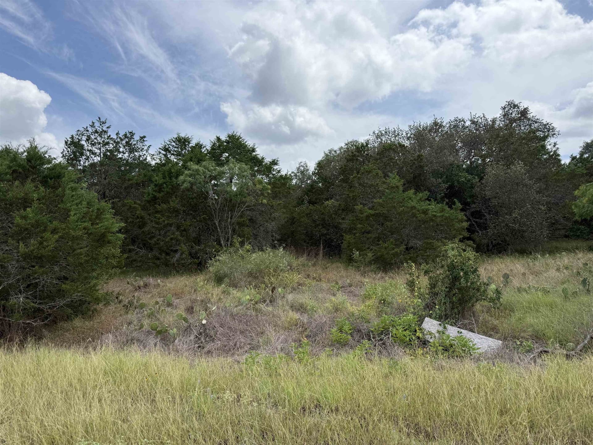 0.19 acres in Burnet County gallery image 2