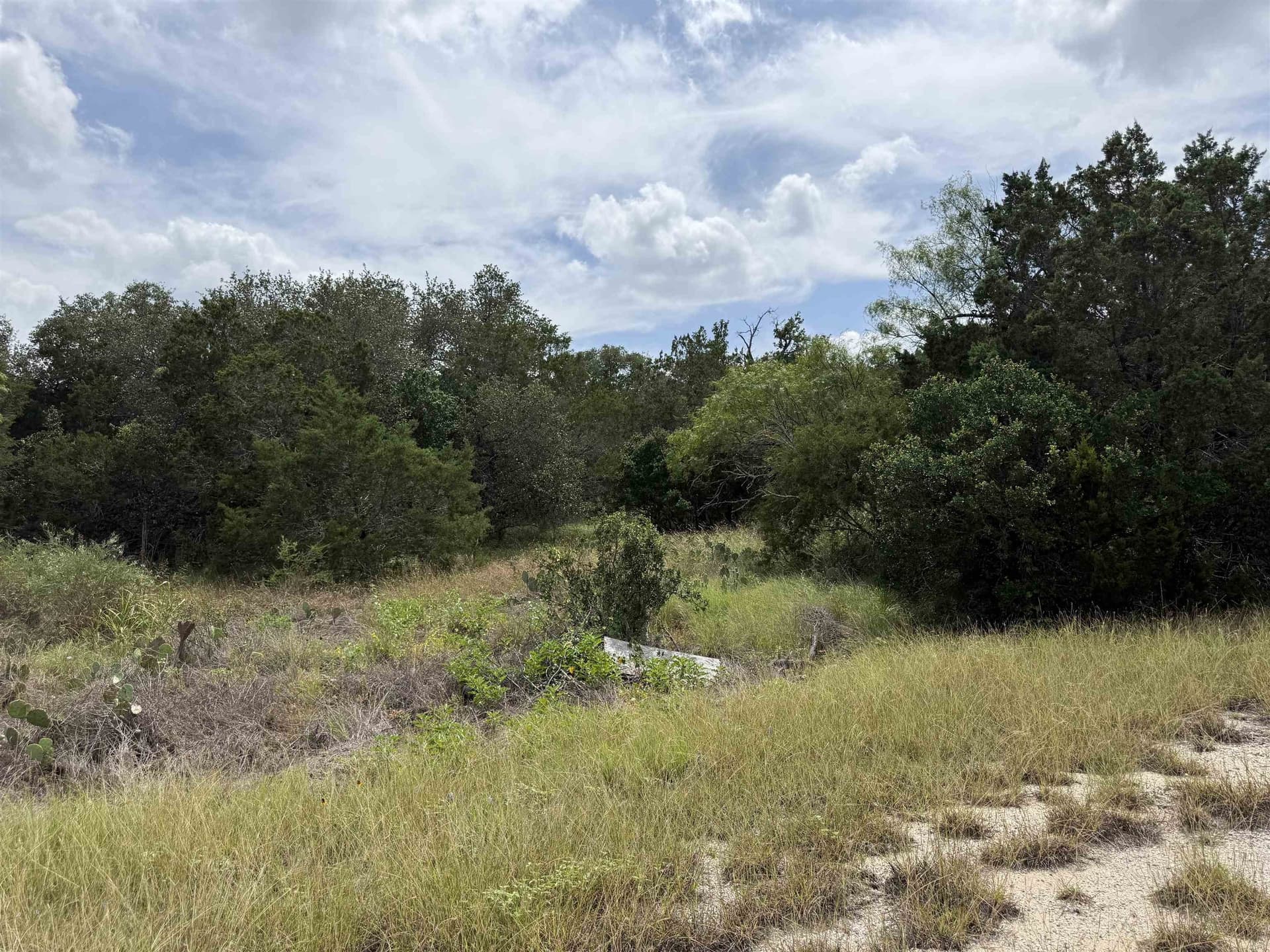 0.19 acres in Burnet County gallery image 4