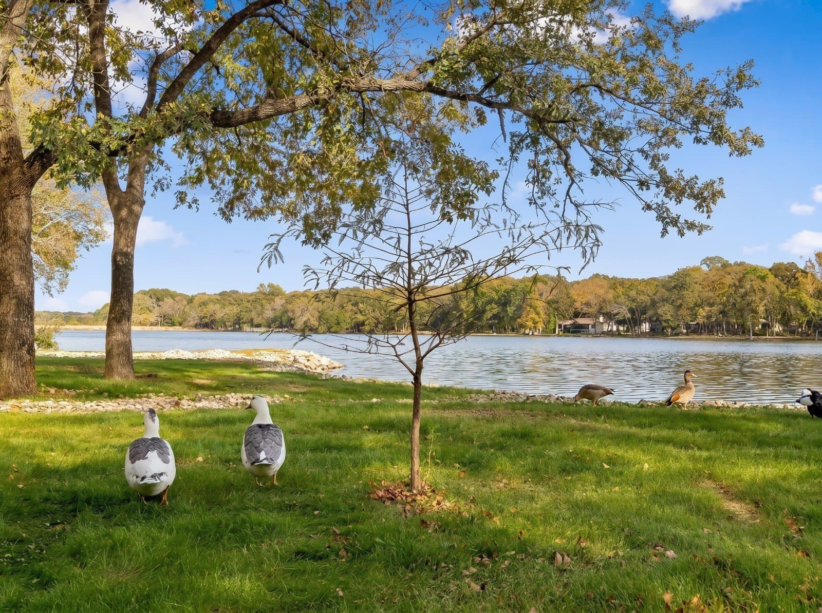 0.4 acres in Van Zandt County - photo 3