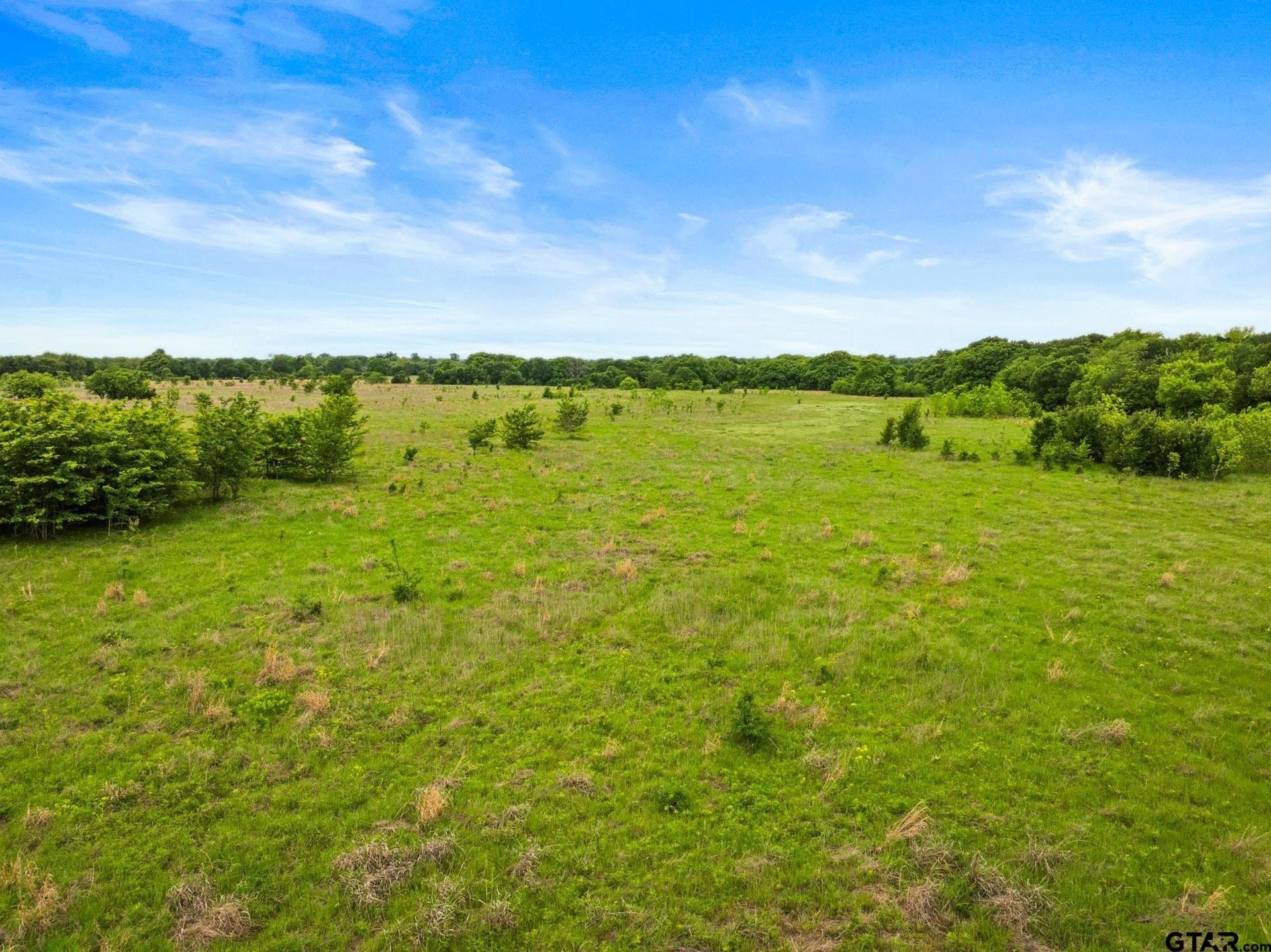 60 acres in Hunt County gallery image 4