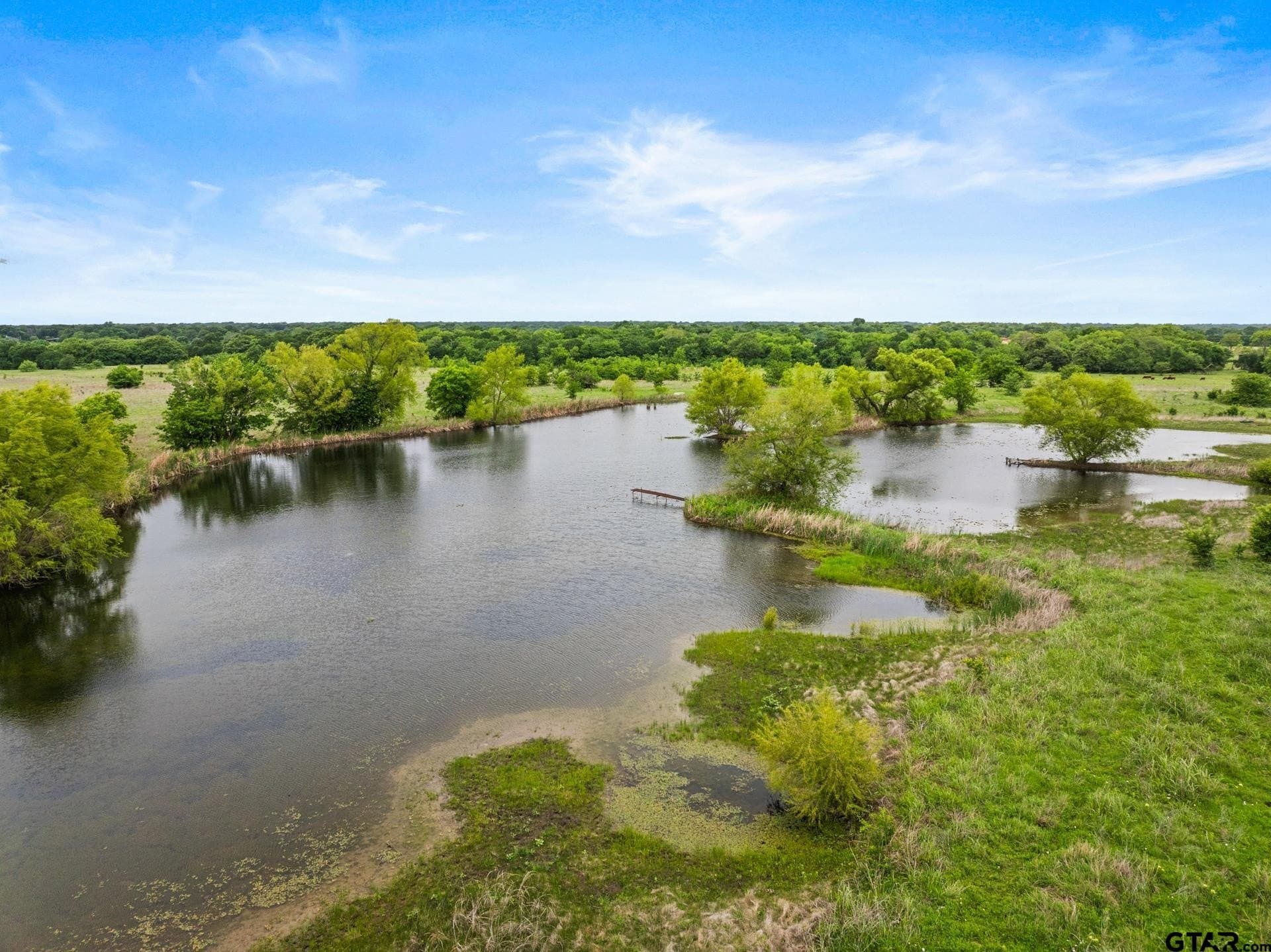 60 acres in Hunt County gallery image 2