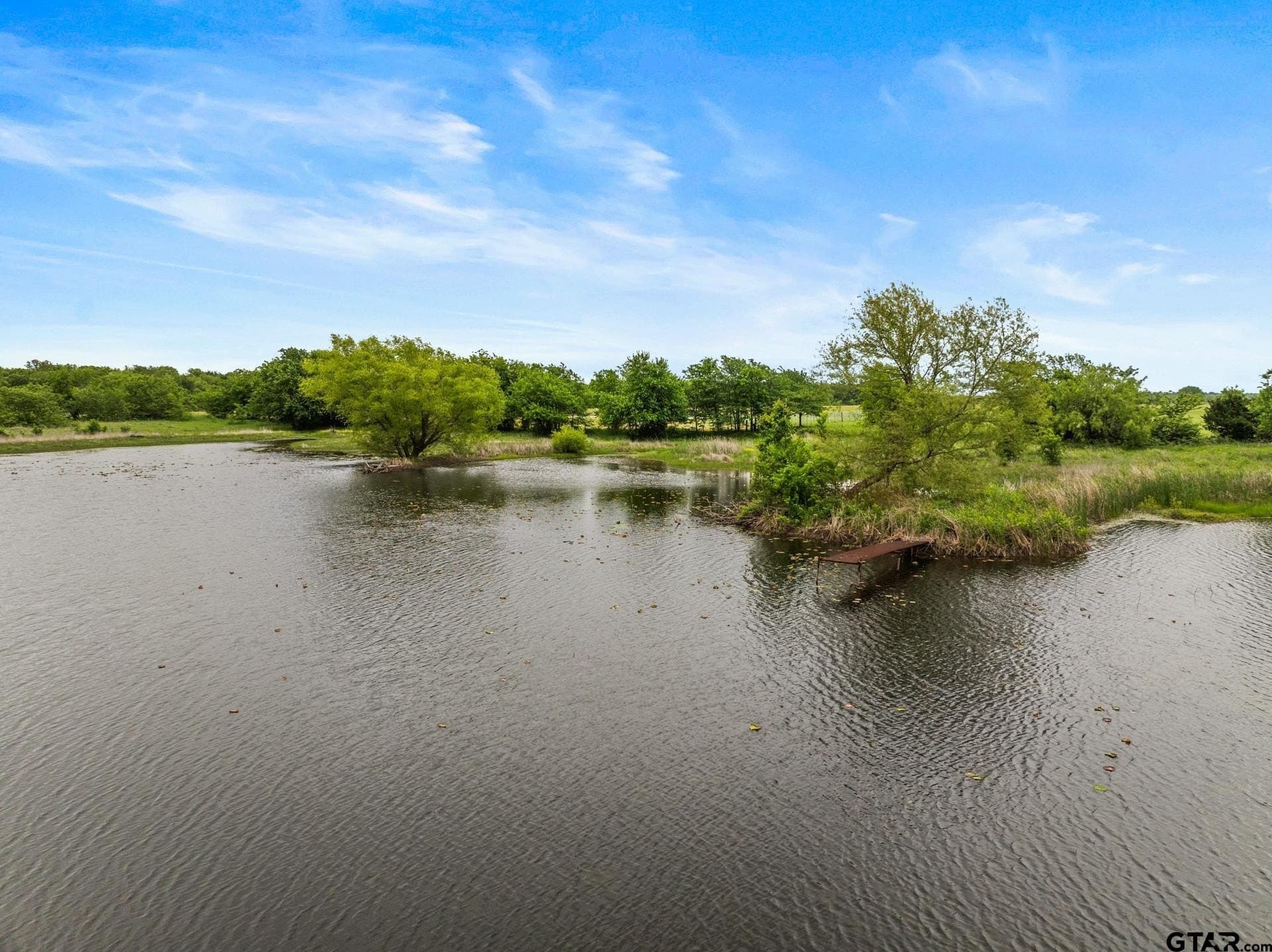 60 acres in Hunt County gallery image 3