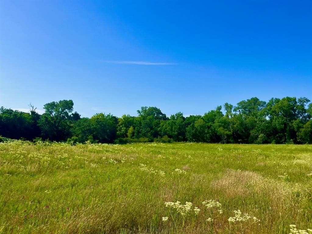 2 acres in Parker County gallery image 3