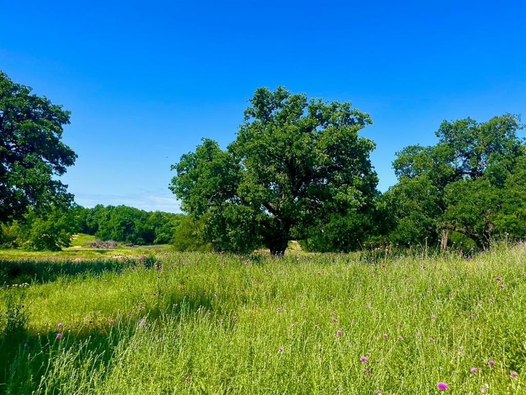 2 acres in Parker County