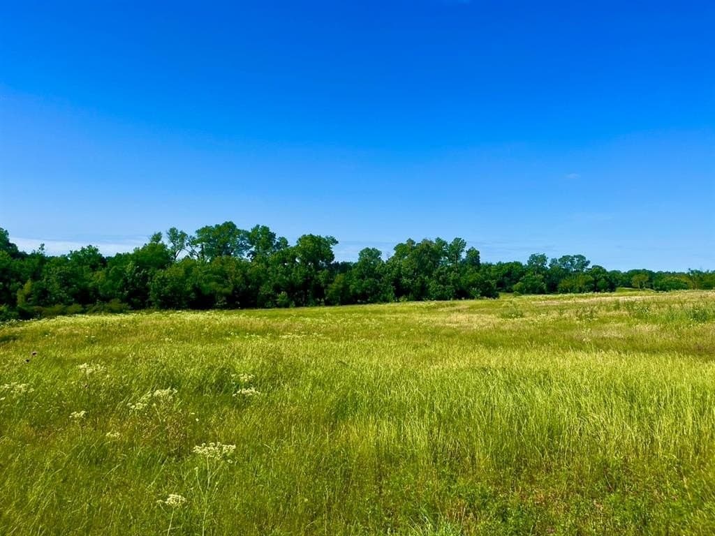 2 acres in Parker County featured view