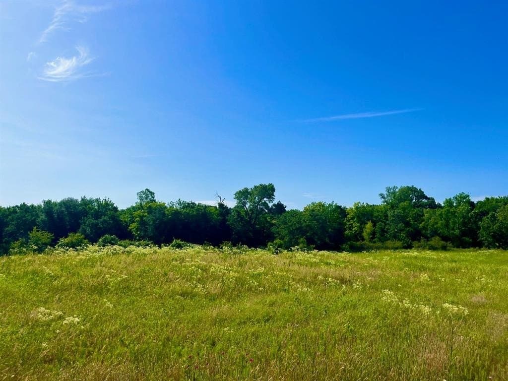 2 acres in Parker County gallery image 2
