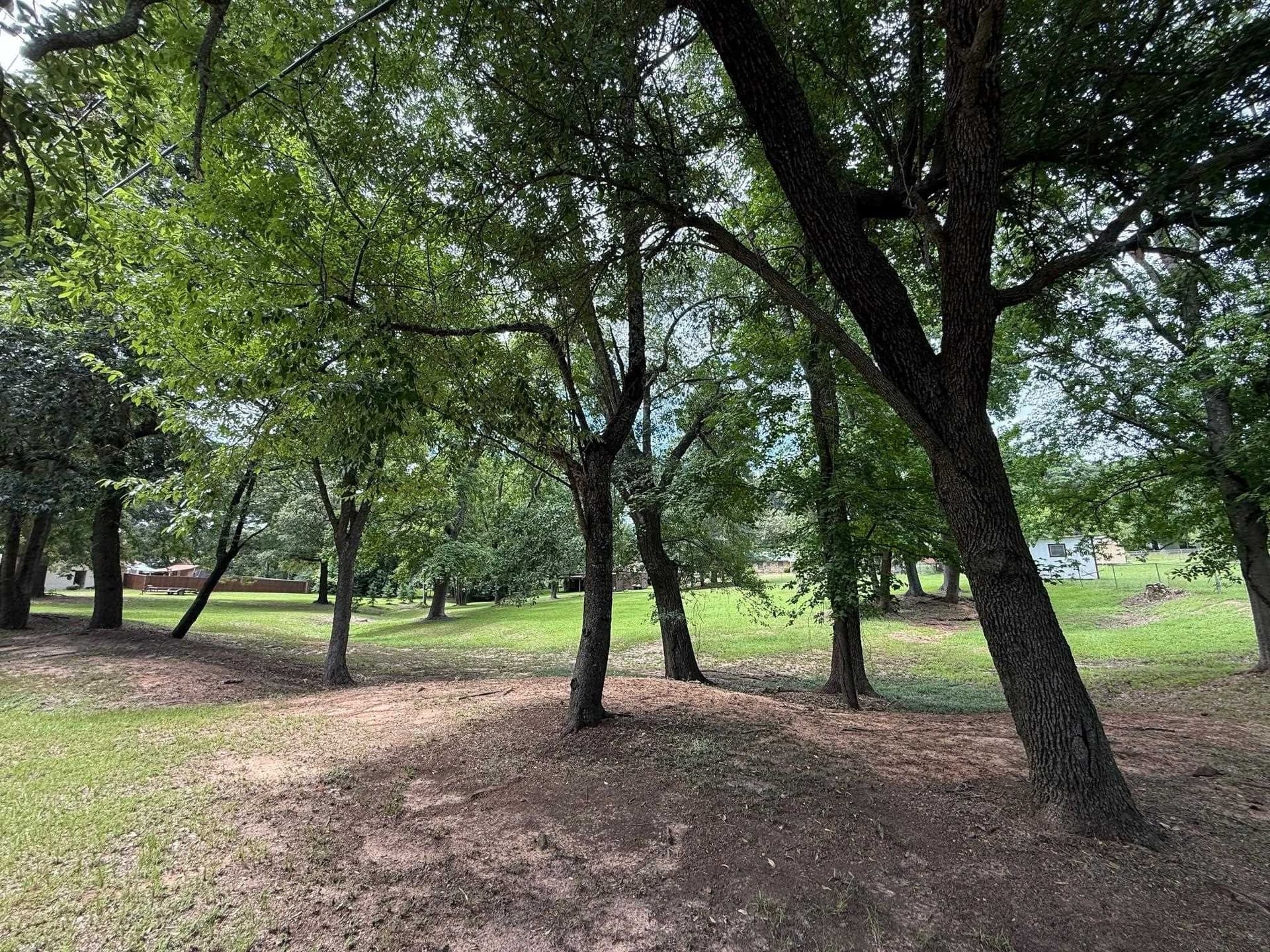 0.8 acres in Upshur County gallery image 4