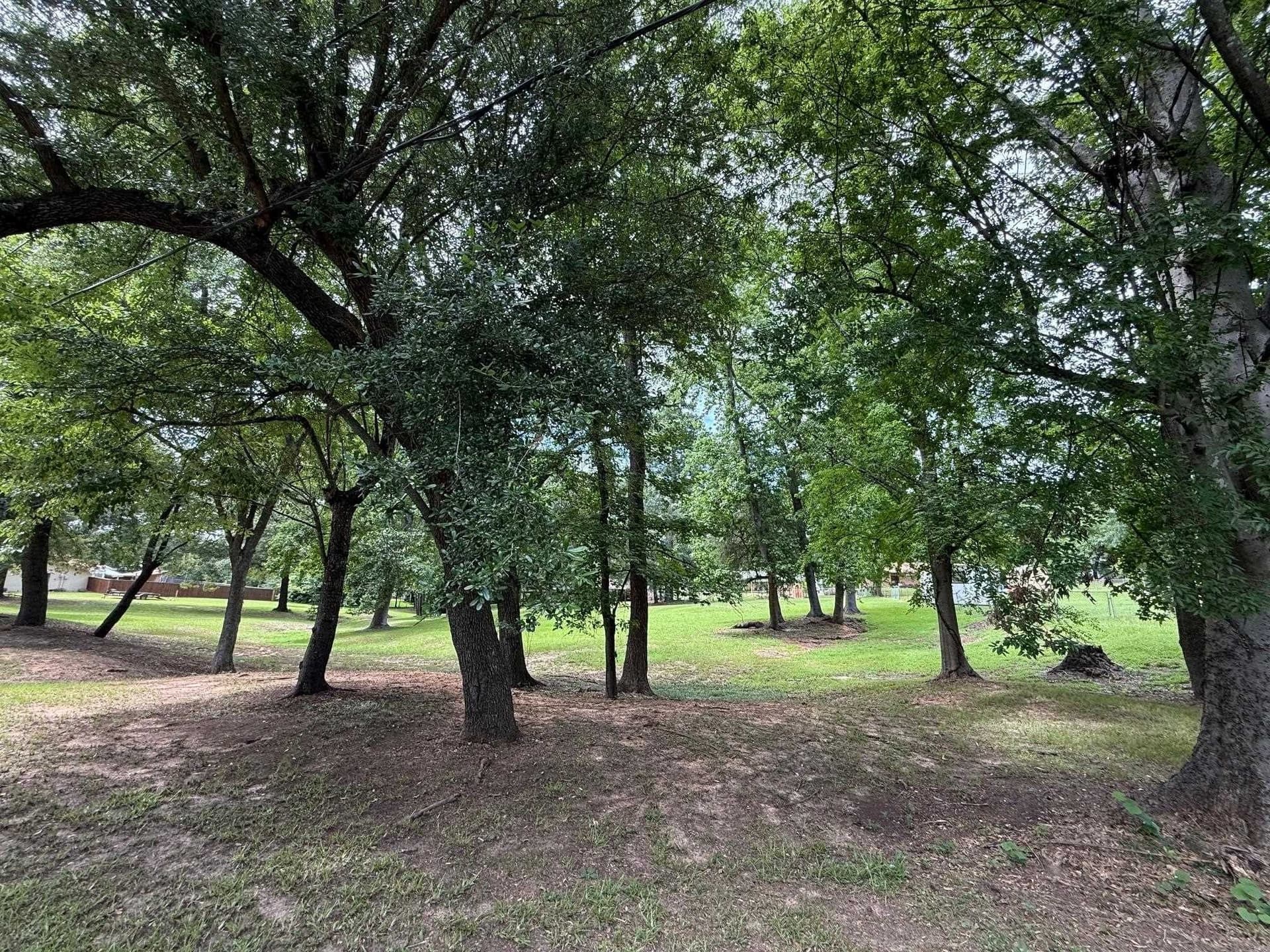 0.8 acres in Upshur County featured view