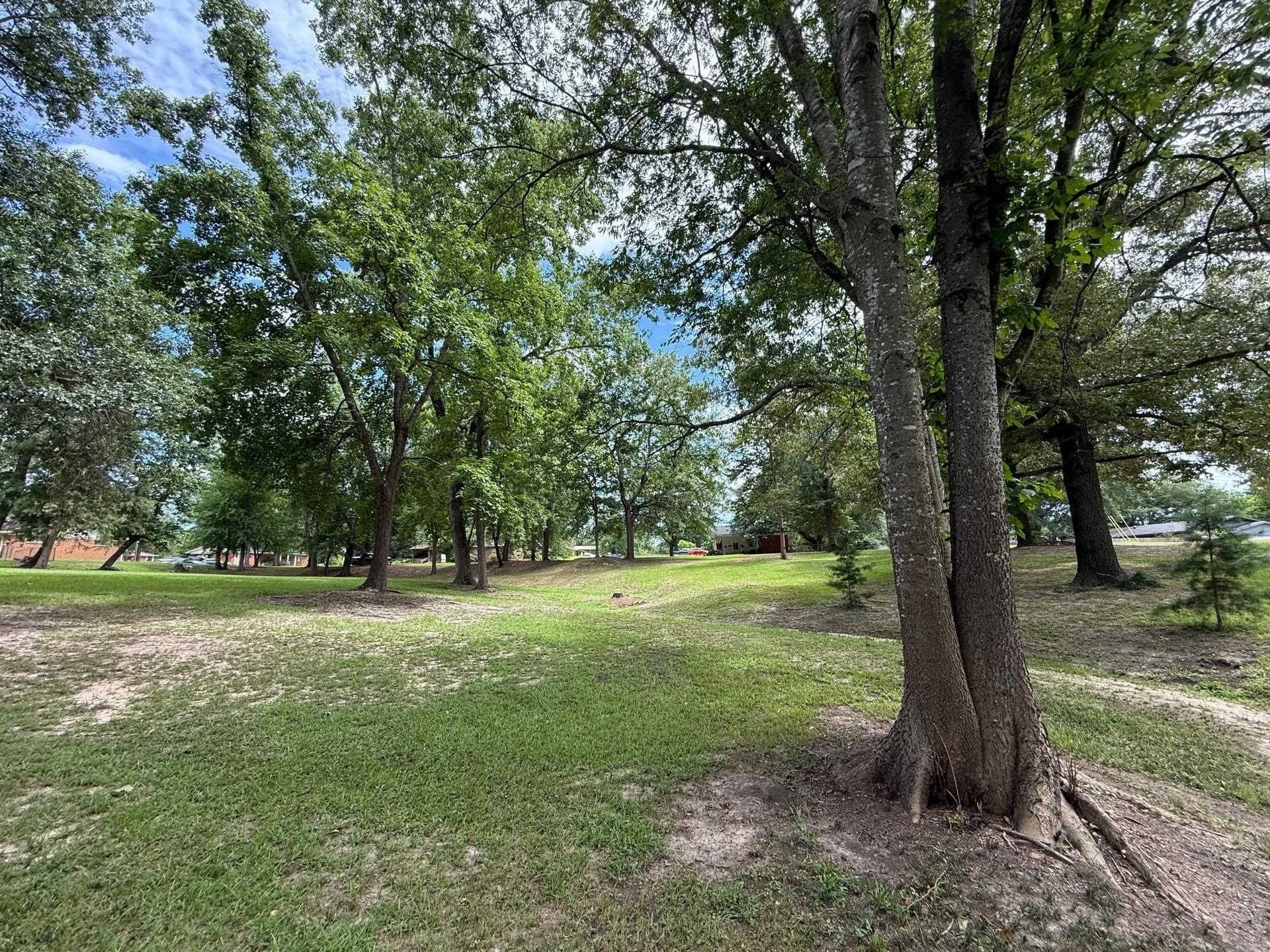 0.8 acres in Upshur County - photo 7