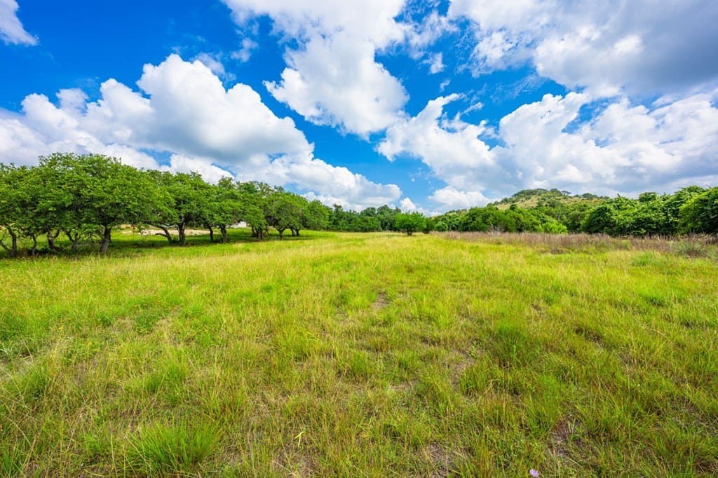 26.36 acres in Blanco County - photo 3