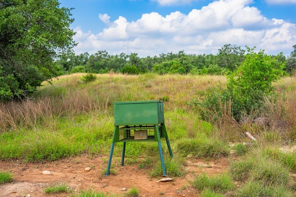 26.36 acres in Blanco County - photo 41