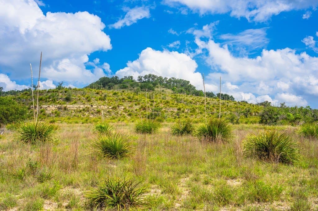 26.36 acres in Blanco County - photo 4