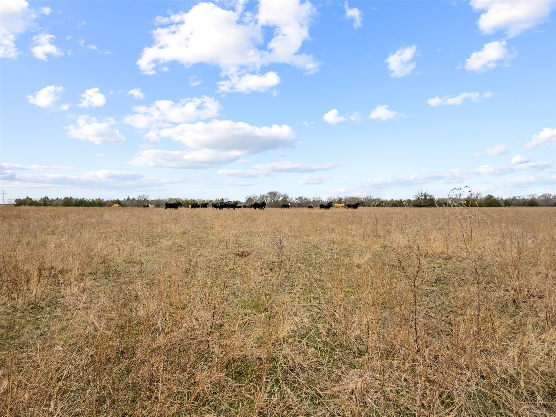 25.88 acres in Fannin County - photo 9