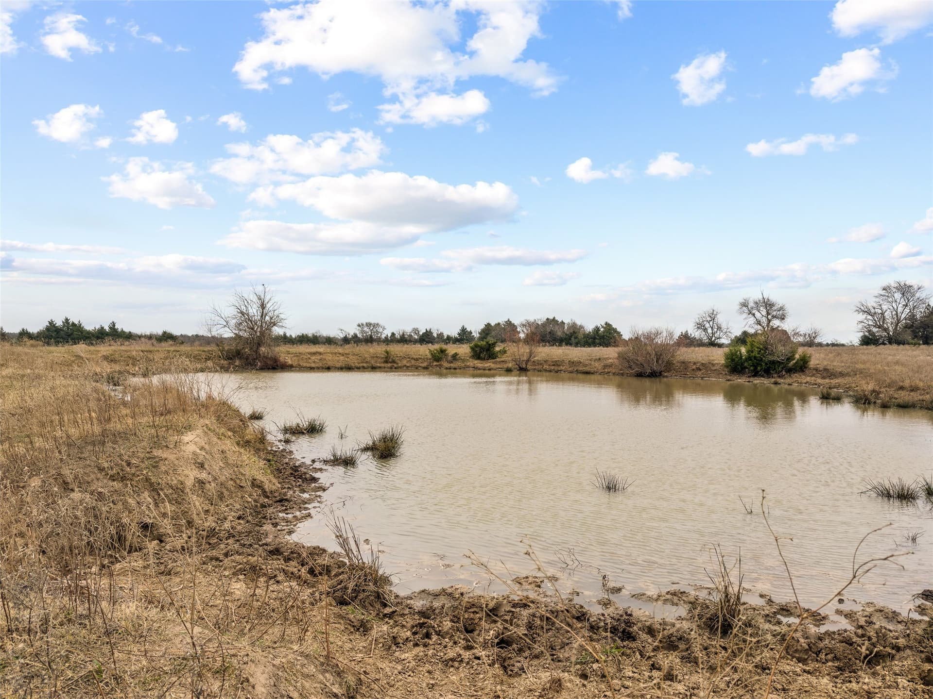 25.88 acres in Fannin County - photo 3