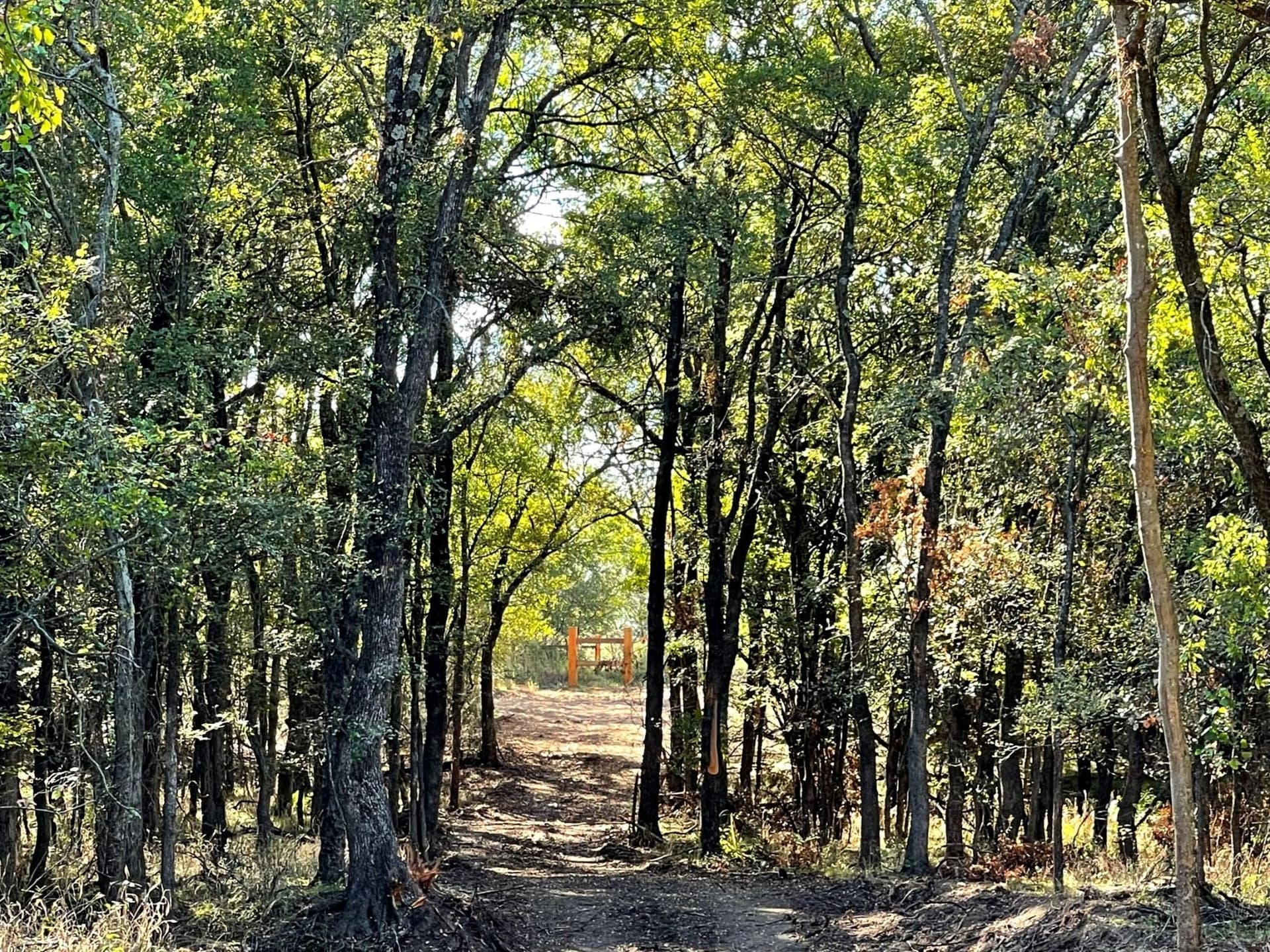 1.9 acres in Denton County featured view