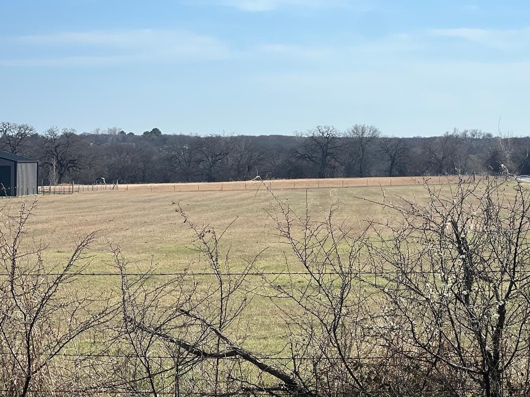 3.81 acres in Tarrant County - photo 8