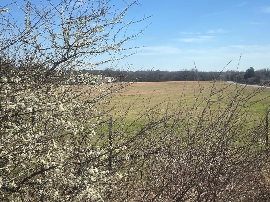 3.81 acres in Tarrant County gallery image 2